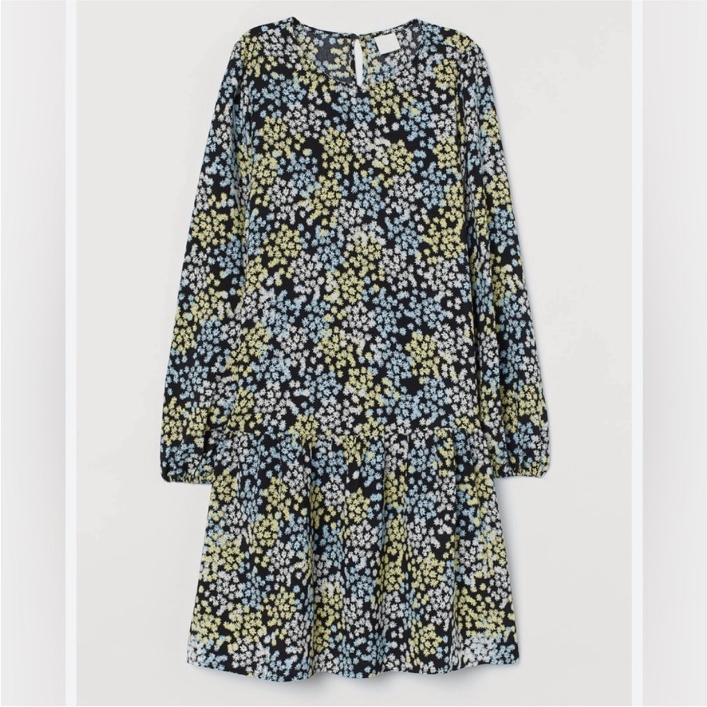H&M Drop Waist Floral Balloon Sleeve Dress